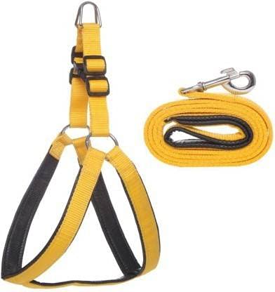 DYS Pets Combo of 1 Inch Adjustable Soft Padded Nylon Dog Harness & Dog Leash Rope (Yellow-Black,S) (B098F9PZC2) Amazon Price History, Amazon Price Tracker