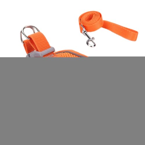 sp Lp n[lX | \tgbVxXg ːSXgCvt,S M L TCY qLp xXg^  ybgpi s AEghA obNpbN g[jOp