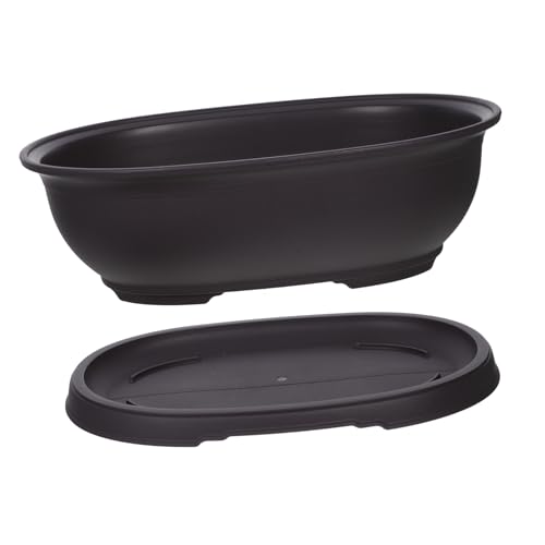 HYTROVE 1 Juego De Macetas Ovaladas para Bonsái Macetas Y Jardineras Grandes Teteras Macetas Colgantes Macetas Transparentes para Plantas De Interior Macetas para Plantas De
