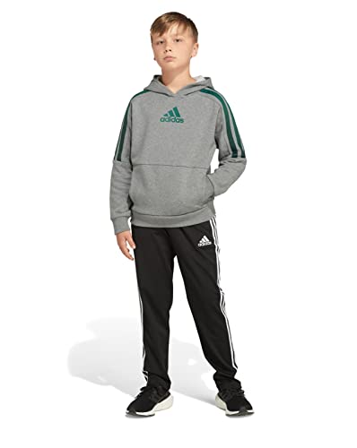 Sweat Adidas garçon gris en molleton souple avec capuche verte