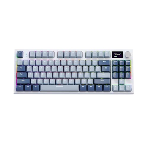 JjJ Q[ L[{[hA2.4G JjJ L[{[h | 2.4GHz CX/L/BT 5.0 KXPbg}Egt PC L[{[h | ƒpAC^[lbgo[AwAItBXp̃JjJLCDfBXvCL[{[h
