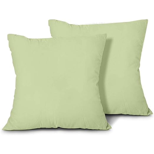 Premium Polyester Fiber Cushion Fillers - Pack of 2 Pcs | 24 x 24 Inches | Sage| Cushions, Sofa Pillow, Cushion for Sofa, Cushion for Bed, Decorative Pillow, Pillow for Support (B0D316DD17) Amazon Price History, Amazon Price Tracker