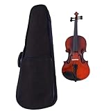 Violine 4/4 Violinset Mit Tragetasche Und Bogen Für Alle Spielstärken Anfänger Musikliebhaber