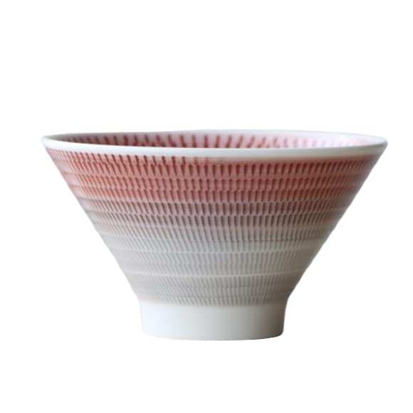 Hasami Ware Rice Bowl Fuji Isshin Kiln Blue Hand Carved Porcelain Japan