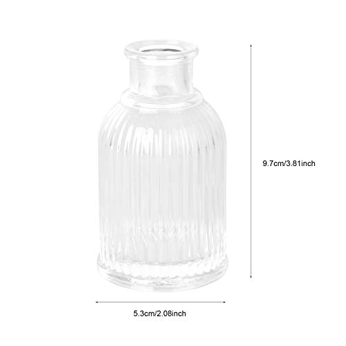 SOIMISS 1Pc Vaso de flores de vidro Recipiente de flores secas Recipiente de flores de vidro para ca