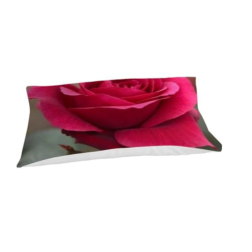 Imprimé 3D housse de couette fleurs plantes romantique microfibre 135x200