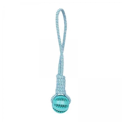 Loigohon [vƃ{[̌ 2Zbg ? ȃ[vƃSfނŏvȊނ Oł̍jg[jOɓK^^pC^NeBuߋ