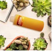 Onisavings Egyptian Musk Body Oil Scented Fragrance (2 Oz) #TOP4