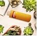 Egyptian Musk Fragrance Oil Ideal for DIY Soap Making, Diffusers, Candles and Body Butters - Long-Lasting Fragrance Essential Oil Good Addition to Lotions and Creams