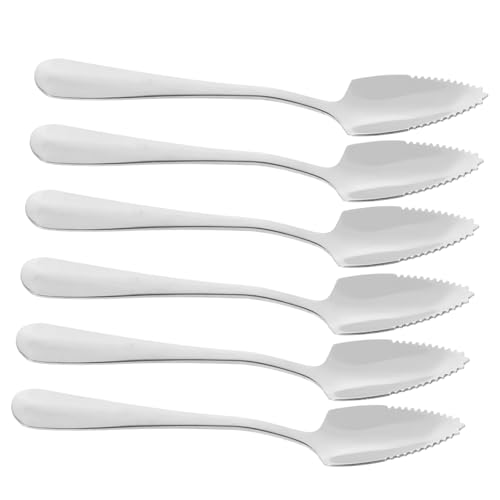 Ciieeo 6個 ステンレス製先ギザギザフルーツスプーン やキウイに 口当たり滑らかで傷けにくい デザートやアイスクリーム用 食洗機対応簡単