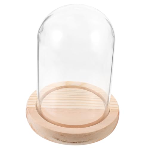 SHINEOFI Cloche en Verre Transparent avec Base en Bois Naturel 8X15 CM Vitrine Décorative pour Micro-Paysages et Objets de Collection Protection Anti-Poussière pour Bureau et Maison