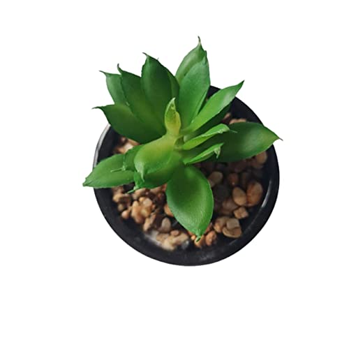 Vaso Decorativo Bob Plant Sentado Para Suculentas Cachepot (PRETO)