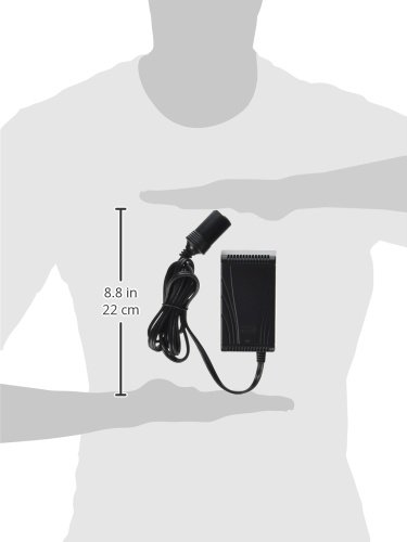 Coleman Thermoelectric Cooler 120-Volt Adapter #TOP1