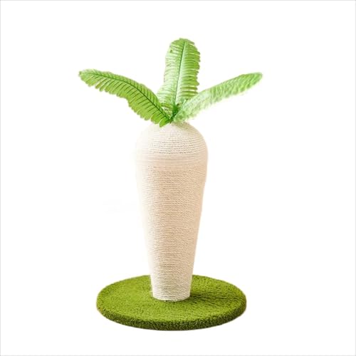 JOHNBEAR  LS Lউ ̌^ lR܊ ݌v lQELmREʎqĂG^ ?؉] 360° ] ՊmۈS efB[t[XQ? S lR̗VтƋxeɍœK (ʂ̃X^C,卪)