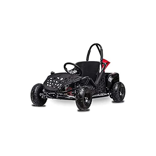 FRP Baja-X 48V 1000W Brushless Electric Go Kart, 3-Speed Setting Go Kart W/ Forward & Reverse, Racing Go Cart Up to 20 mph W/ Foot Pedal & Foot Break, Go Cart Support Up to 175 Lbs