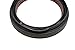 Mack 23396652 - Oil Sealing Ring
