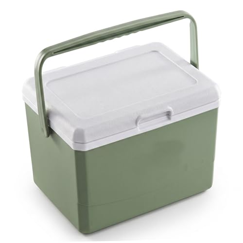 Petite glacière 5 L isolation 12h chaud et froid incluant 6 blocs réfrigérants