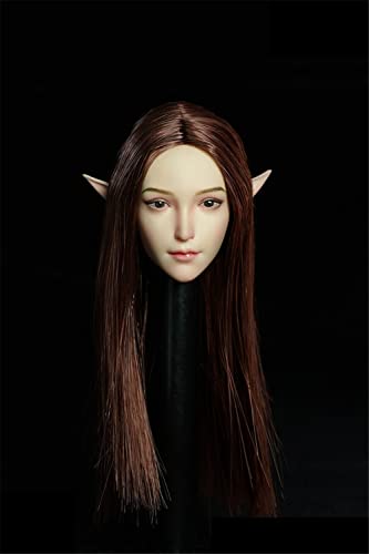 Tête elfe peau plantée 1/6 avec longs cheveux marrons AMITD