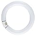 Seagull Lighting 97145 30W FC30 Circline Bulb