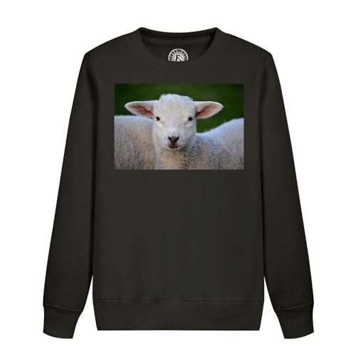 Bébé mouton super mignon enveloppe ce sweatshirt enfant d'une douceur infinie