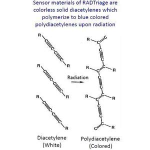 Rad Triage 50 Personal Radiation Detector for Wallet or Pocket by Safecastle