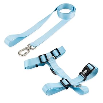 Basic Pet Coleira Peitoral Com Guia Para Cachorro Cães Modelo Tradicional H Tamanho Porte Grande Médio Pequeno (M, Caribe)