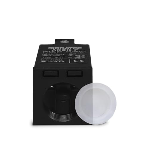 Chave Fim de Curso Plástica 1NA+1NF | AXCK-P 110