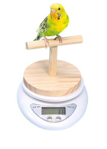 OMEM Escala especial de loros precisa y duradera para pájaros de alta precisión con plataforma de madera, ideal para monitorear la salud de las aves