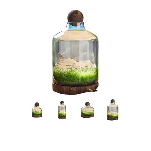 LIVIAKX ؐgCt zf Eiϋ㝁Ekrp rO/֑ ԎKKX iόp (XL)