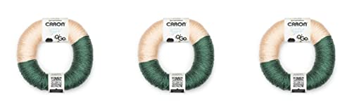 Caron Simply Soft O'Go Yarn for Knitting & Crochet, Monsteria, 3-Pack
