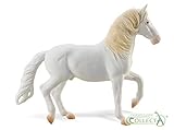 All Camarillo White Horses trace their lineage back to Sultan, a white stallion owned by the Camarillo family of Camarillo, California, USA. These rare and famous horses have appeared in the Pasadena Tournament of Roses Parade, the opening of the 1932 Olympics, and have been ridden by celebrities and Presidents.