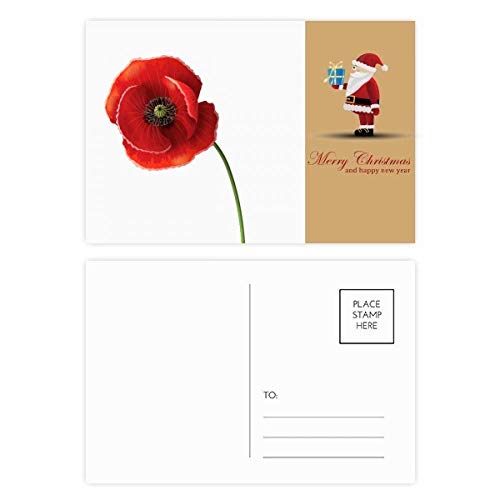 Cartes de Noël coquelicot rouge de maïs en lot de 20, illustration artistique