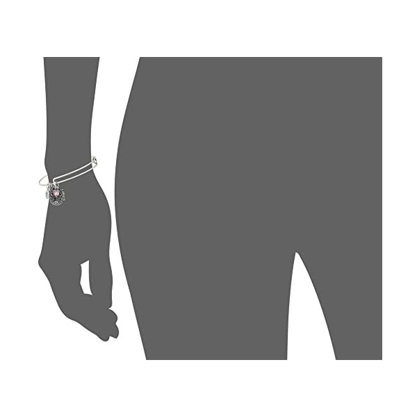 Alex and Ani Path of Symbols Expandable Bangle for Women, Fortune’s Favor Charm, Rafaelian Silver Finish, 2 to 3.5 in