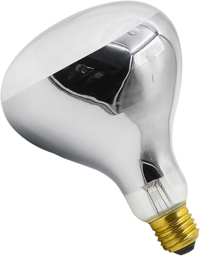 Seentech 250W R40 Heat Lamp Bulb (Clear, 1-Pack)