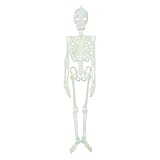 Beistle Halloween Glow in the Dark Skeleton Figure, Light Green