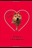 gitzo adventury 45l  LOVE GITZO: The story of a three legged dog