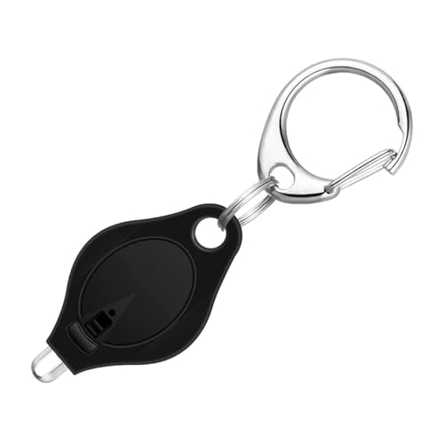 Namvo 6er-Pack Mini-LED-Taschenlampen-Schlüsselanhänger, ultrahelle Schlüsselanhänger-Licht-Taschenlampe mit Federkarabiner (schwarz)