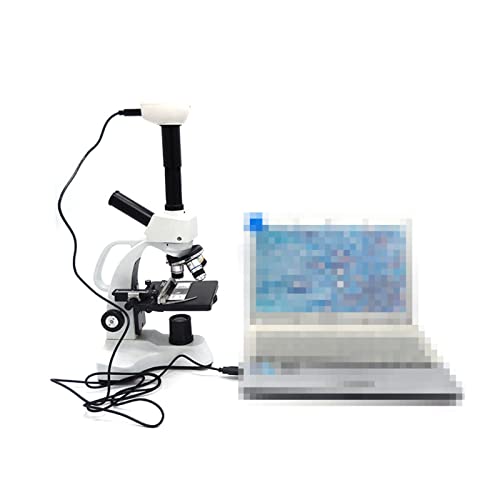 Microscopio digital infantil para descubrir la ciencia desde el escritorio de casa