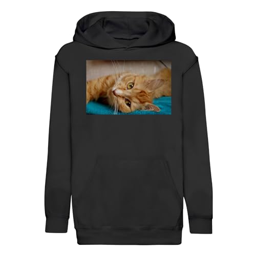 Sweat à capuche enfant chat roux le compagnon doux des petits