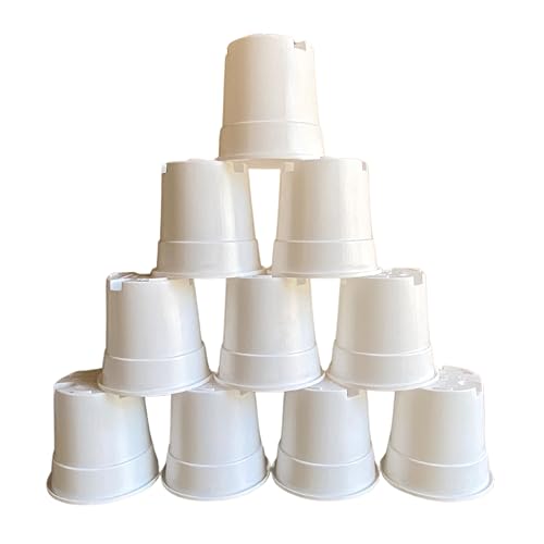 Image of Indian Gardens - 4 inch Indoor (Pack of 10) Plastic Small Colour pots | Plastic Plant Pot for Terrace Garden (White)