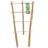 Sprigra Bamboo Trellis 2FT 3 Pack, Plant Ladder Stakes 24 Inches, Natural Fan-Shaped Bamboo Trellis...