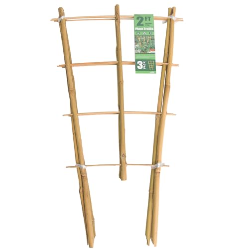 Sprigra Bamboo Trellis 2FT 3 Pack, Plant Ladder Stakes 24