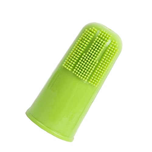 Brosse pour chien anti tartre dentaire lot de 6 brosses à dents chat