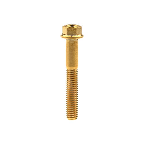 Yaruijia Titan-Schrauben M6 x 10 15 20 25 30 35 40 45 50 55 60 65 mm kleiner Flansch-Sechskantkopf-Schrauben Raster 1,0 mm (M6 x 40 mm, Gold) Cover