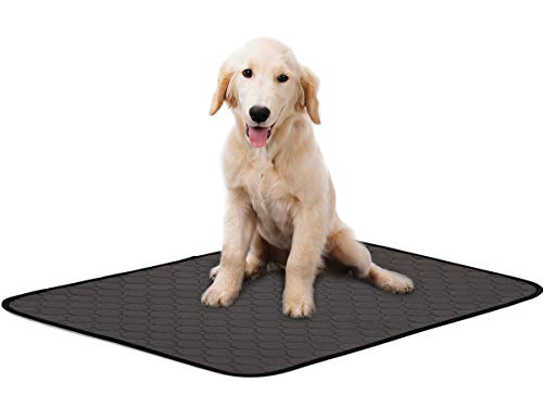 Dog Pee Mat Crate Pad for Pets Dogs Cats Washable Mat Warm Breathable Comfortable Dog Training Pad - DarkCrey - L