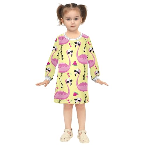 Flamingo Fruit Girls Dresses Long Sleeve Sweatshirt Dress for Girls Winter Toddler Casual A Line Dresses Size 2-8T4
