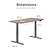 VARI Electric Standing Desk - 60x30 VariDesk, Adjustable Height Stand Up Computer Desk - Dual Motor with Memory Presets, Stable T-Style Legs- Home Office Essentials - Walnut