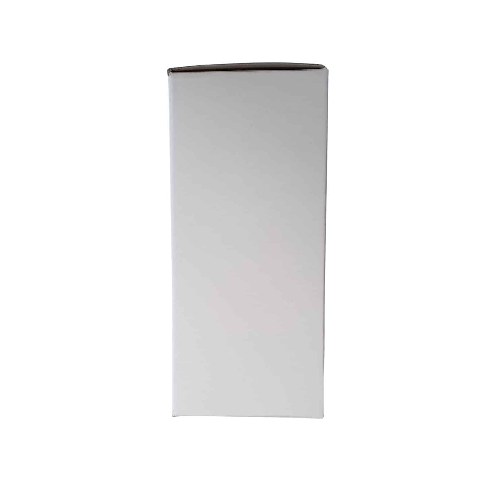 Relais Mise Hors Gel Piscine - Spécial Hivernage Actif - Protection Hiver Bassin - Montage sur Horloge Coffret Piscine