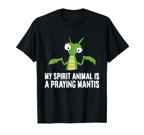 Praying Mantis Insect My Spirit Animal Is A Praying Mantis