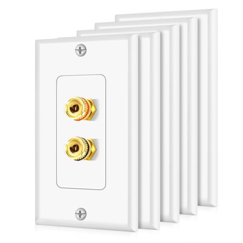 Placa de pared para altavoz de cine en casa con conectores banana de cobre 2